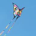 Butterfly kite