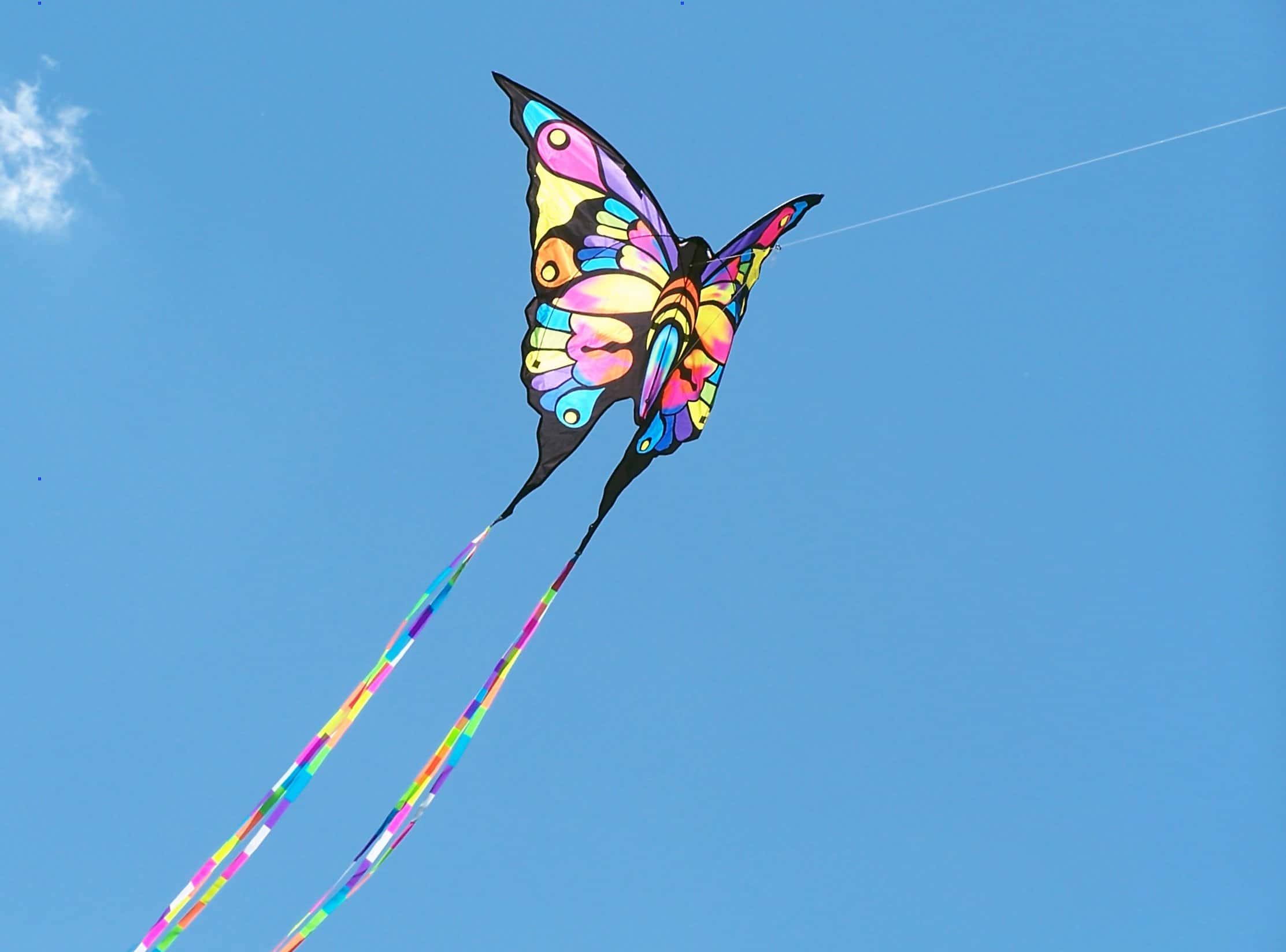 Butterfly Kite - GBRgot1