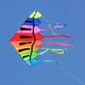 Multi-color kite